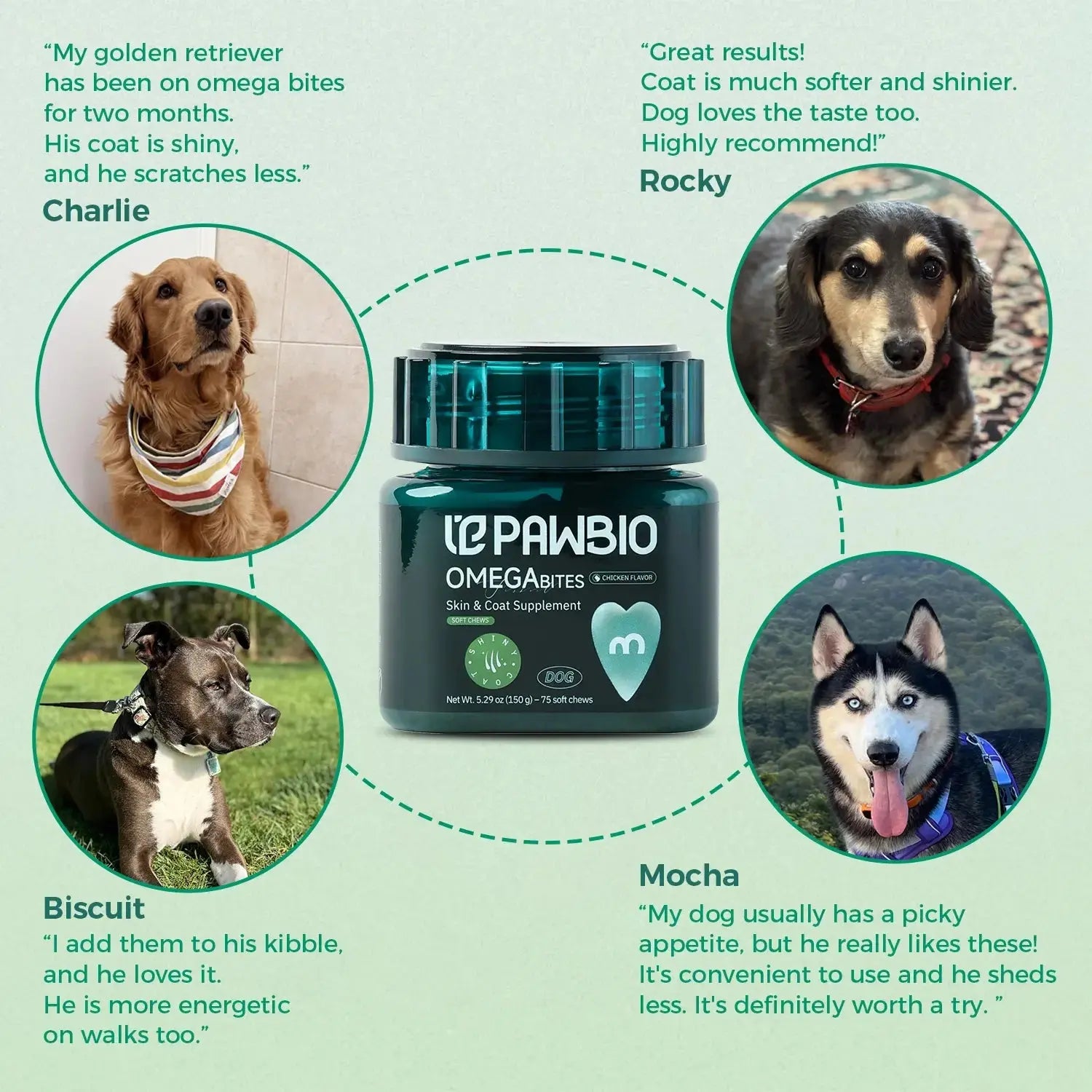 Fish Oil Chews for Dogs Pawbio|Nutritional supplement kit for your furry friends