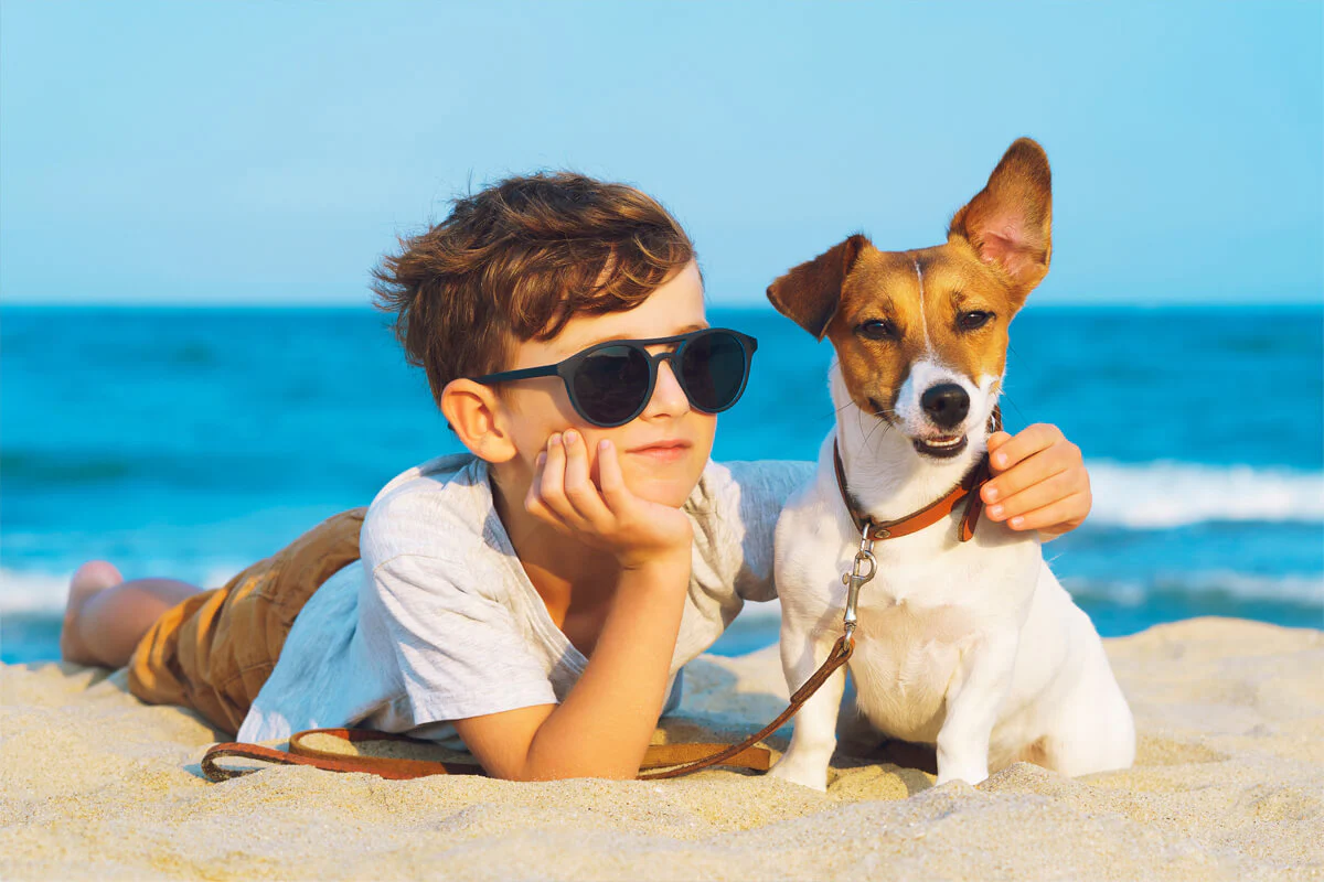 Understanding Pet Supplements
