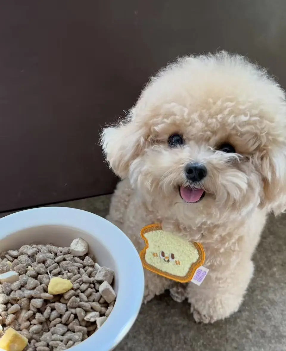 The-Rise-of-Soft-Chew-Pet-Supplements-A-Healthier-Happier-Future-for-Pets Pawbio｜Nutritional supplement kit for your furry friends