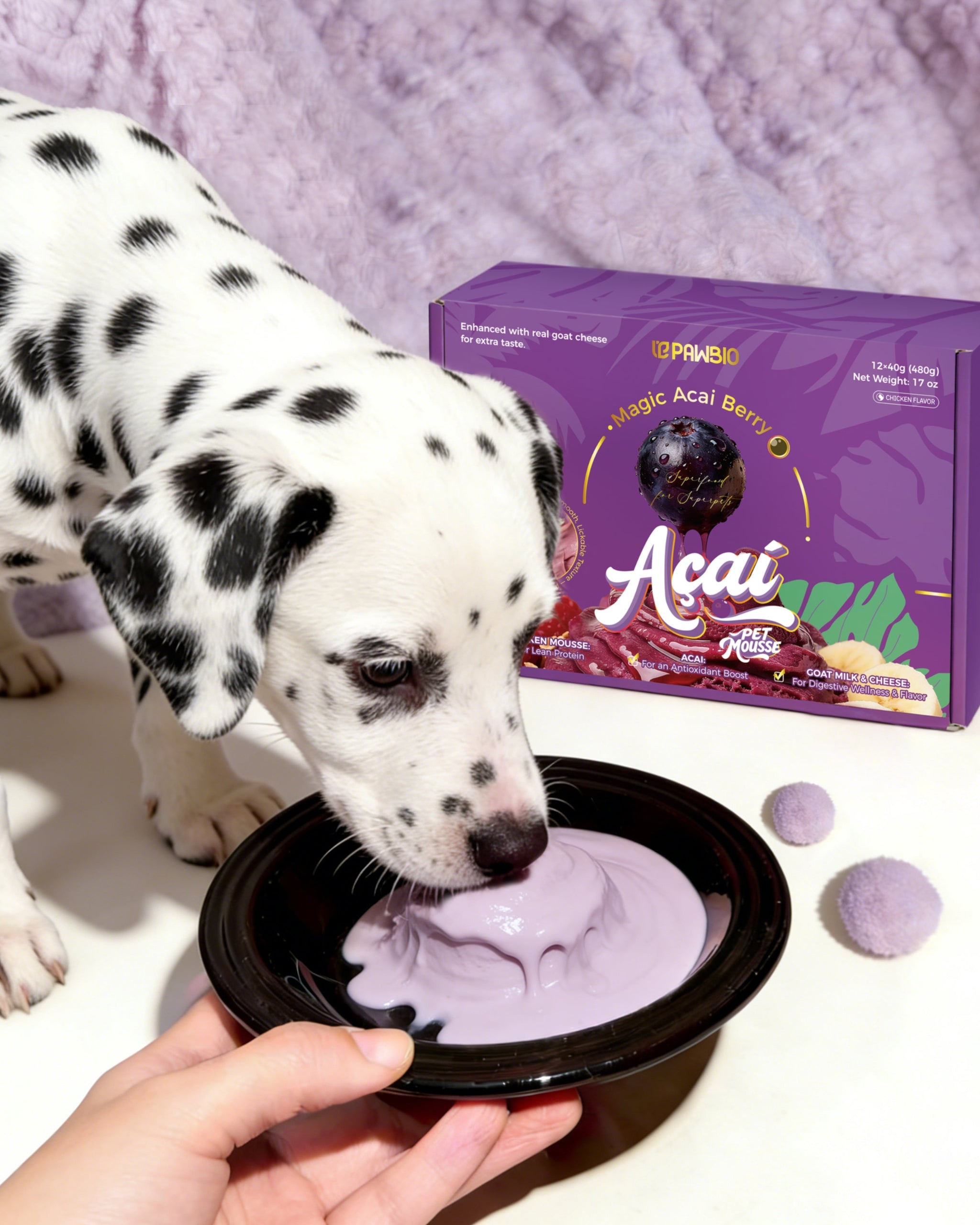Can Dogs Eat Açaí? Is This Superfruit Safe for Dogs?