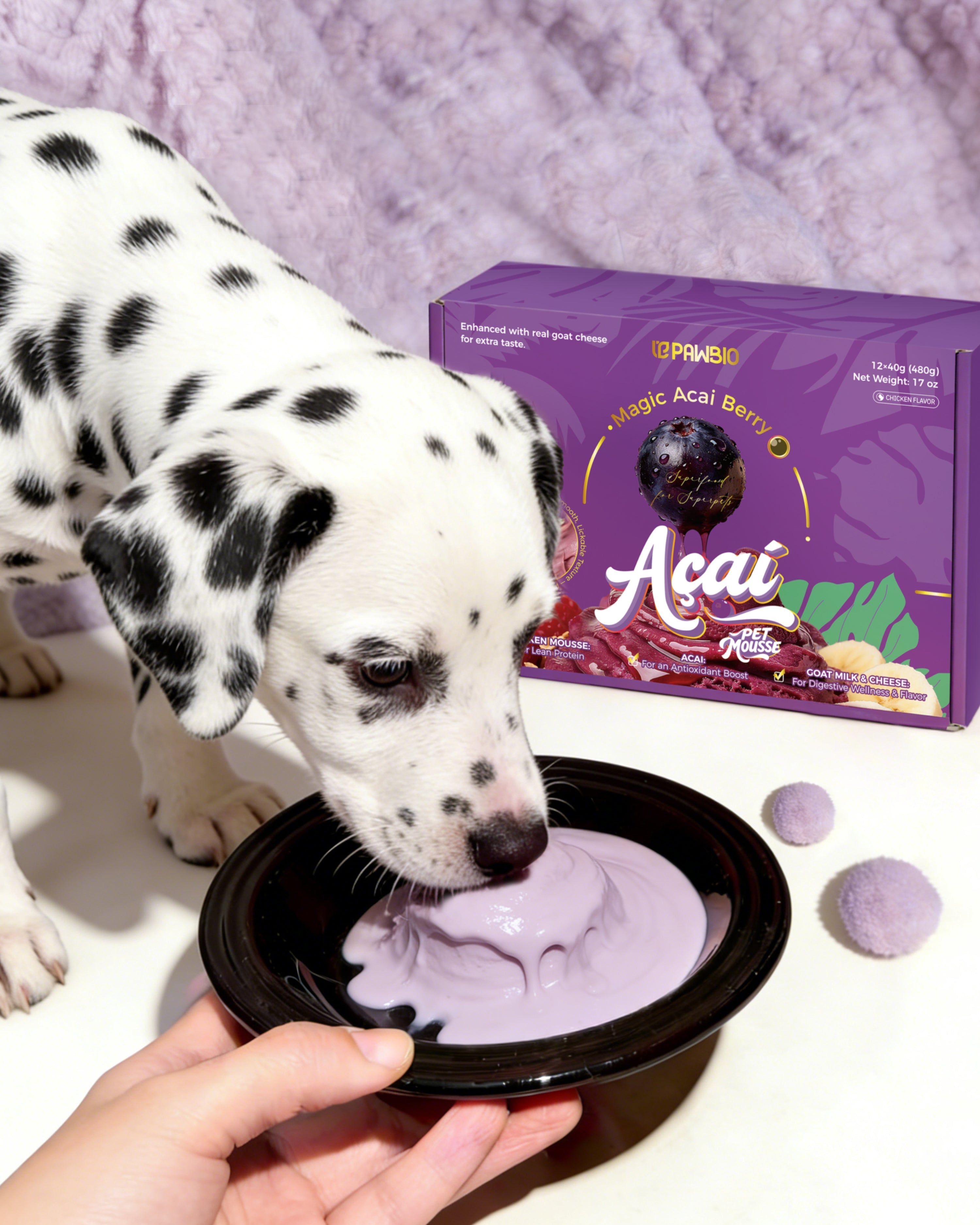 Can Dogs Eat Açaí? Is This Superfruit Safe for Dogs?