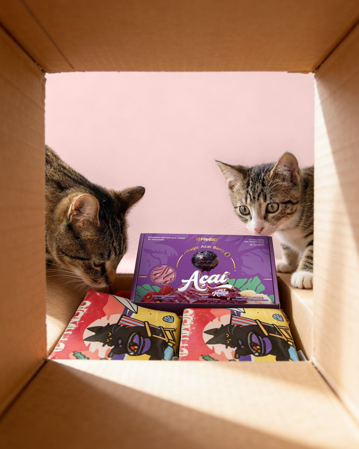 Can Cats Eat Açaí? Is This Superfruit Safe for Cats?
