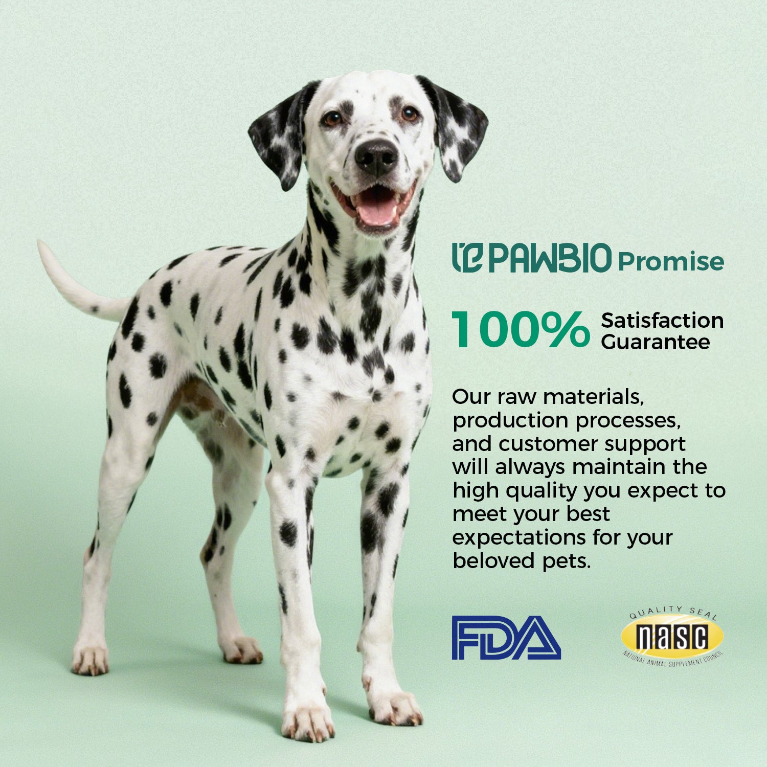 Dog's Hip + Joint Support