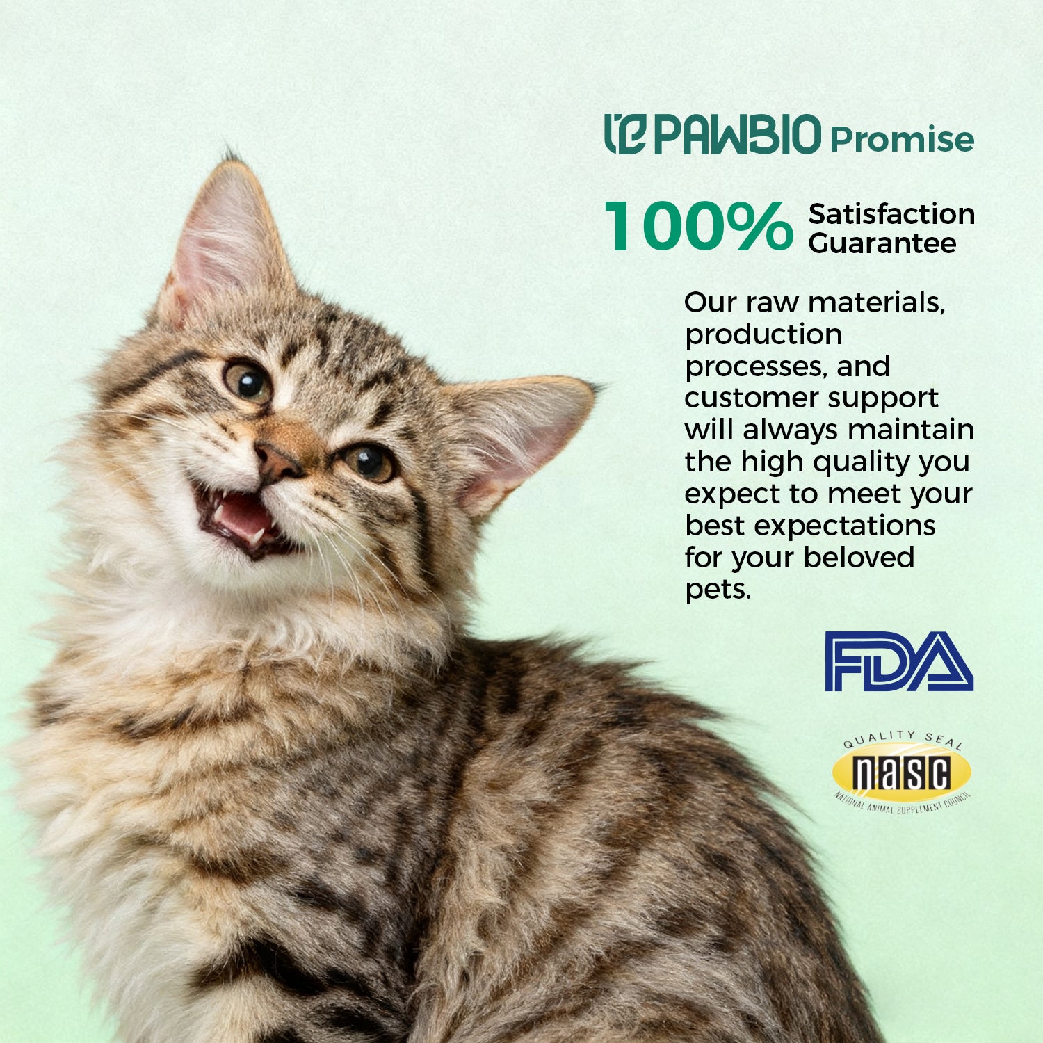 Cat's CoQ10 Bites