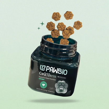PAWBIO Premium Daily Wellness Chews for Cats &amp; Dogs | Targeted Health Support (Digestion, Skin &amp; Coat, Joint, Heart)
