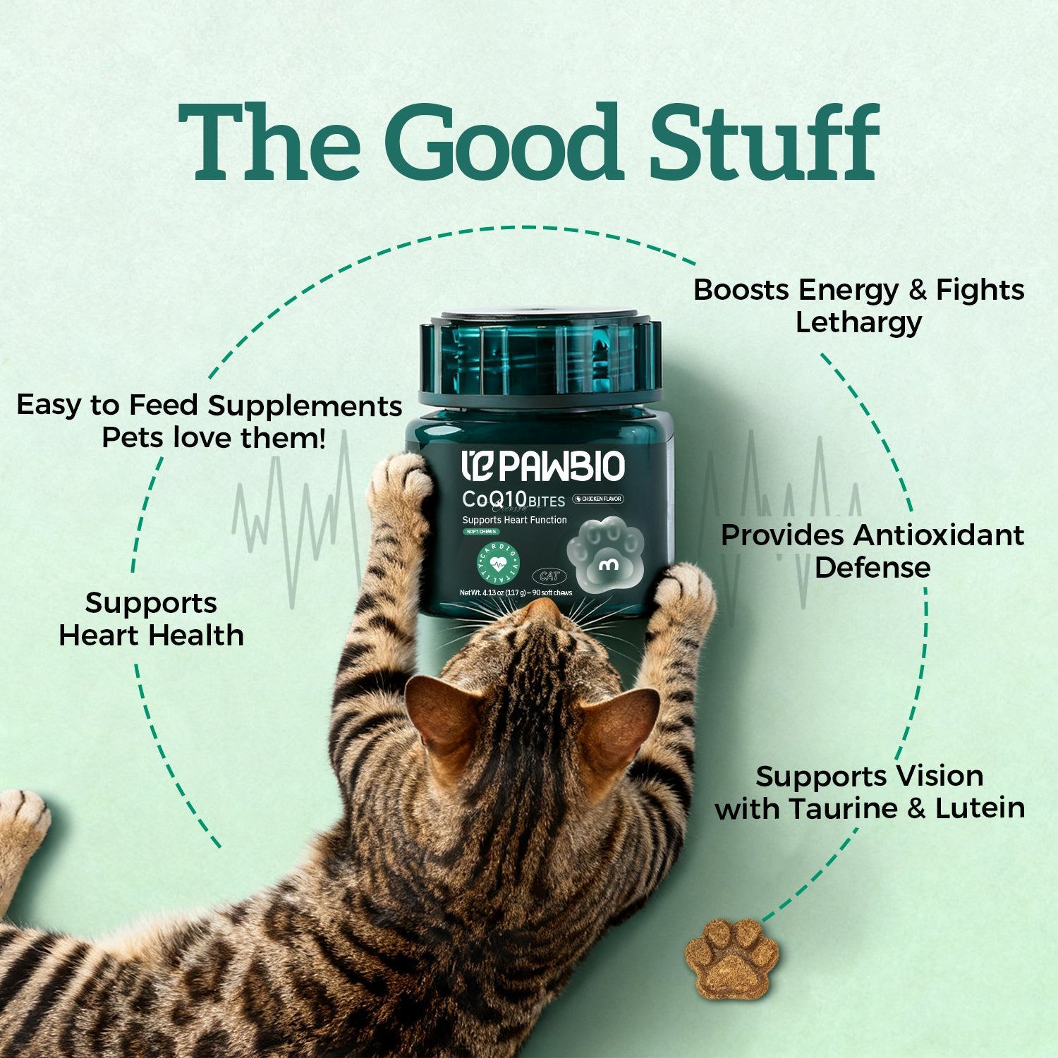 Heart support Pawbio｜Your Pet's Natural Wellness Partner — Bringing Love to Life