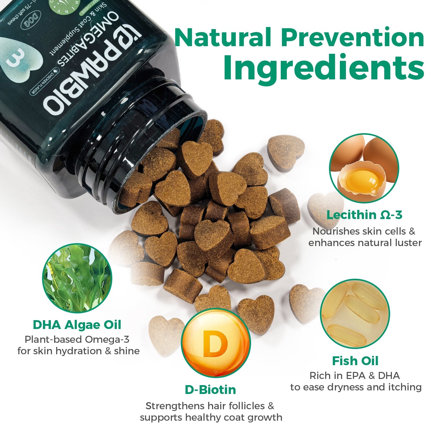 Skin Support Pawbio｜Nutritional supplement kit for your furry friends