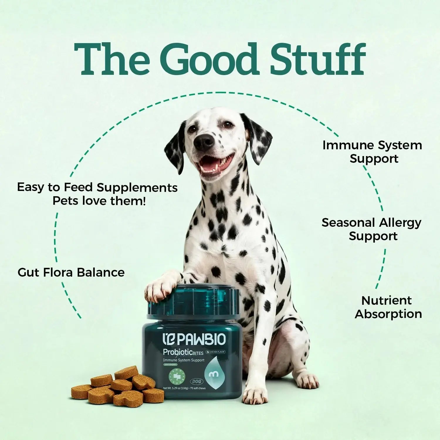 Digestion Support Chews for Dogs Pawbio｜Nutritional supplement kit for your furry friends