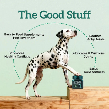 Hip &amp; Joint Chews for Dogs Pawbio｜Nutritional supplement kit for your furry friends