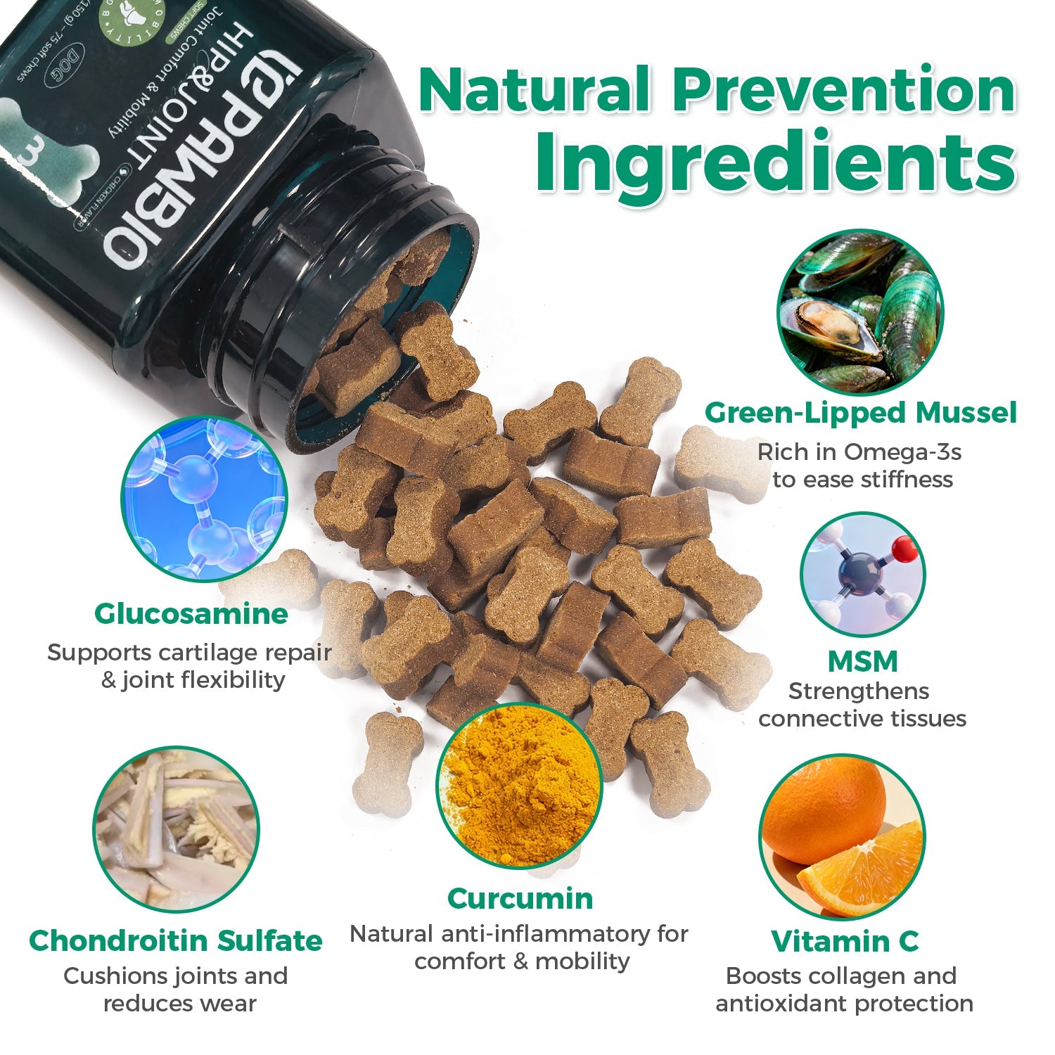 Joint Health Pawbio｜Nutritional supplement kit for your furry friends