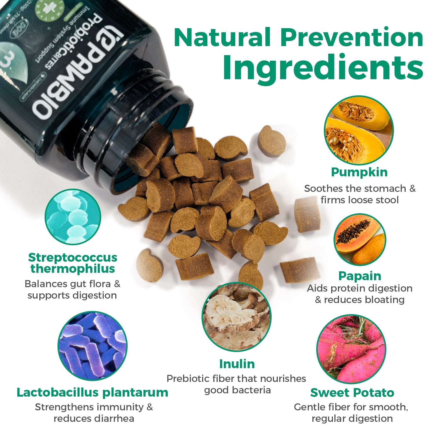 Digestive Health Pawbio｜Nutritional supplement kit for your furry friends