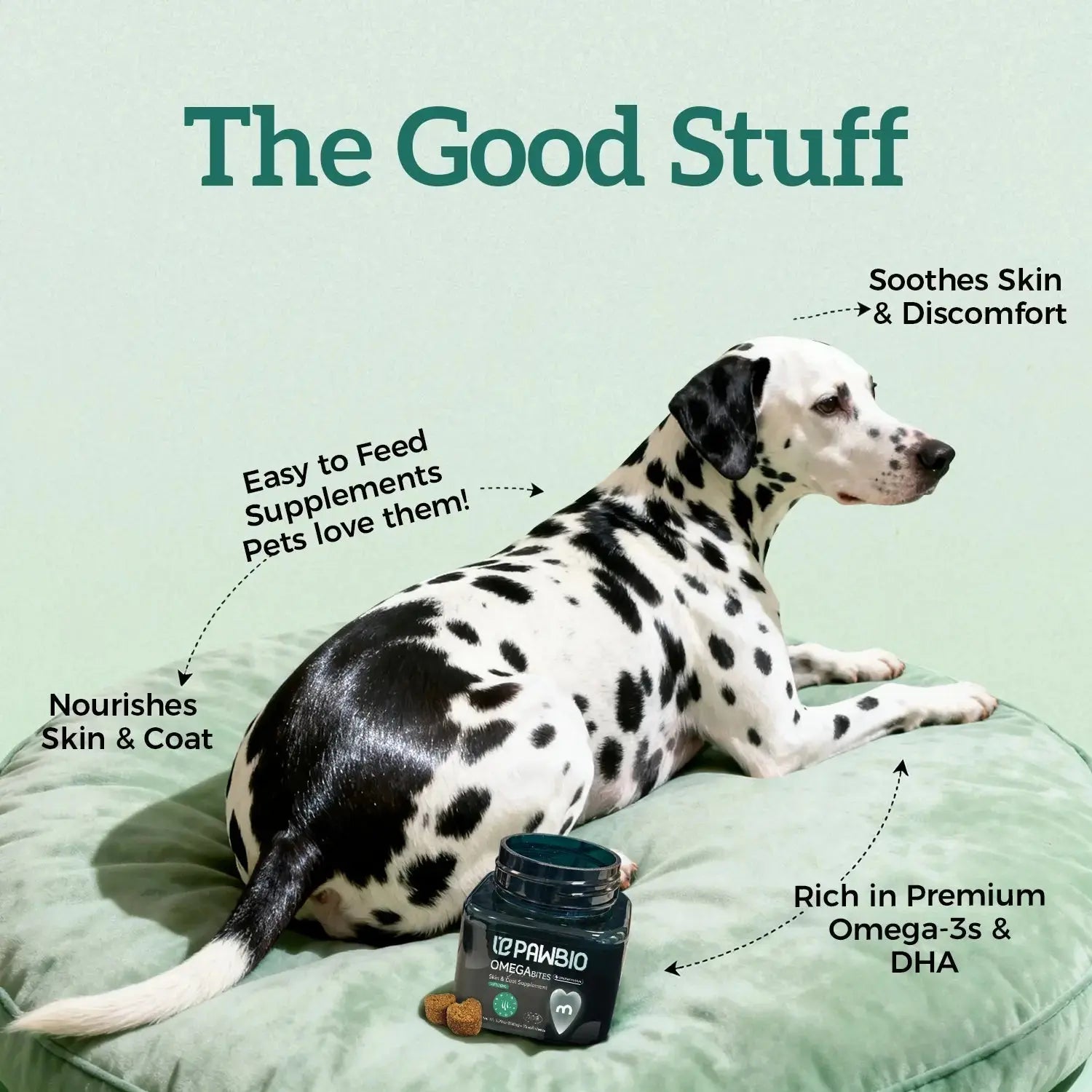 Fish Oil Chews for Dogs Pawbio｜Nutritional supplement kit for your furry friends