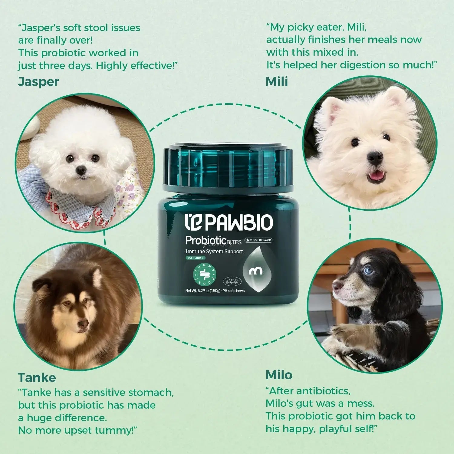 Digestion Support Chews for Dogs Pawbio｜Nutritional supplement kit for your furry friends