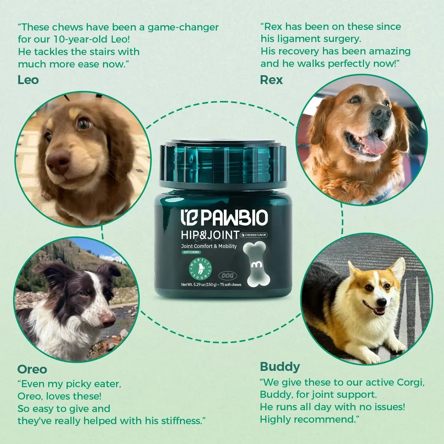 Hip & Joint Chews for Dogs Pawbio｜Nutritional supplement kit for your furry friends