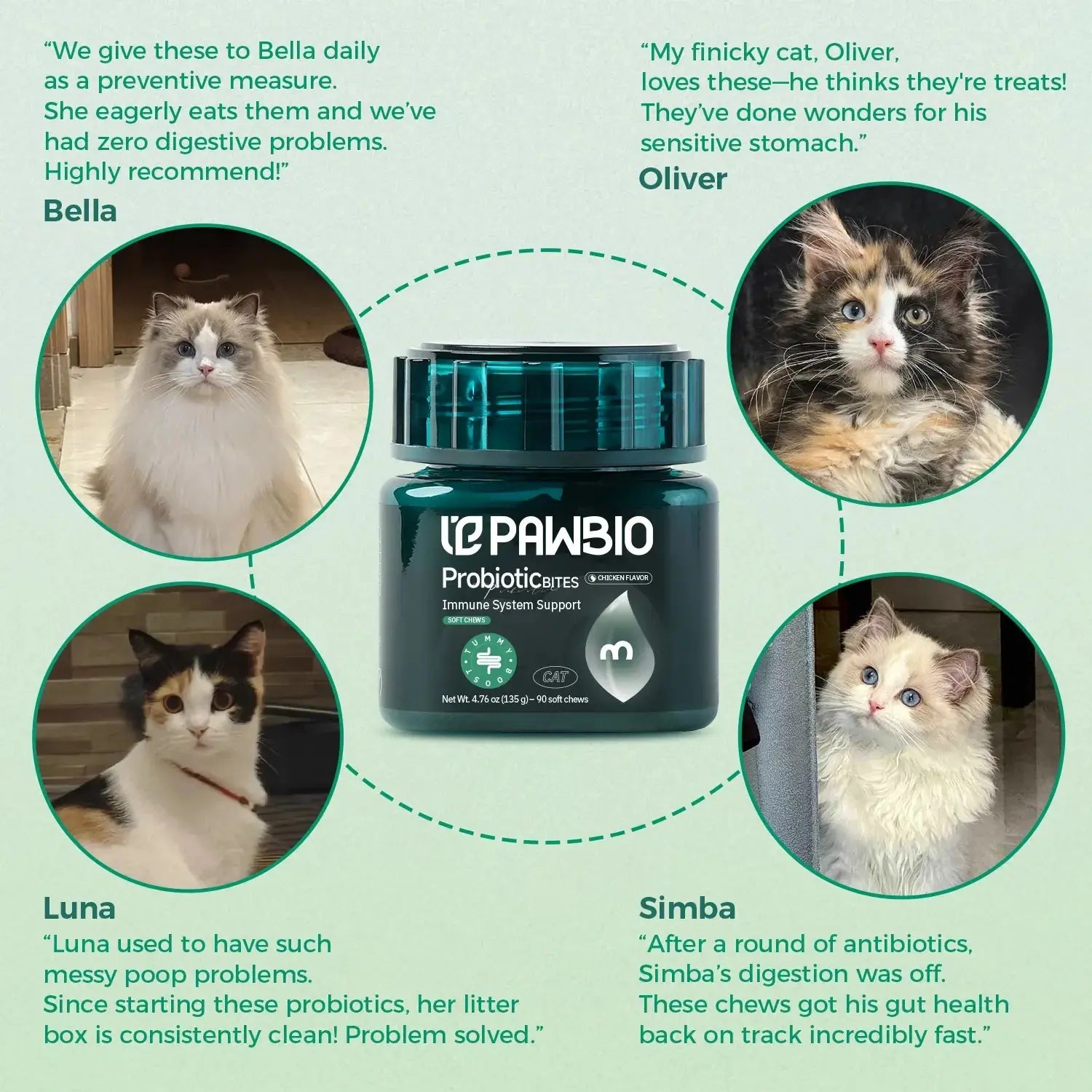 Digestion Support Chews for Cats Pawbio｜Nutritional supplement kit for your furry friends