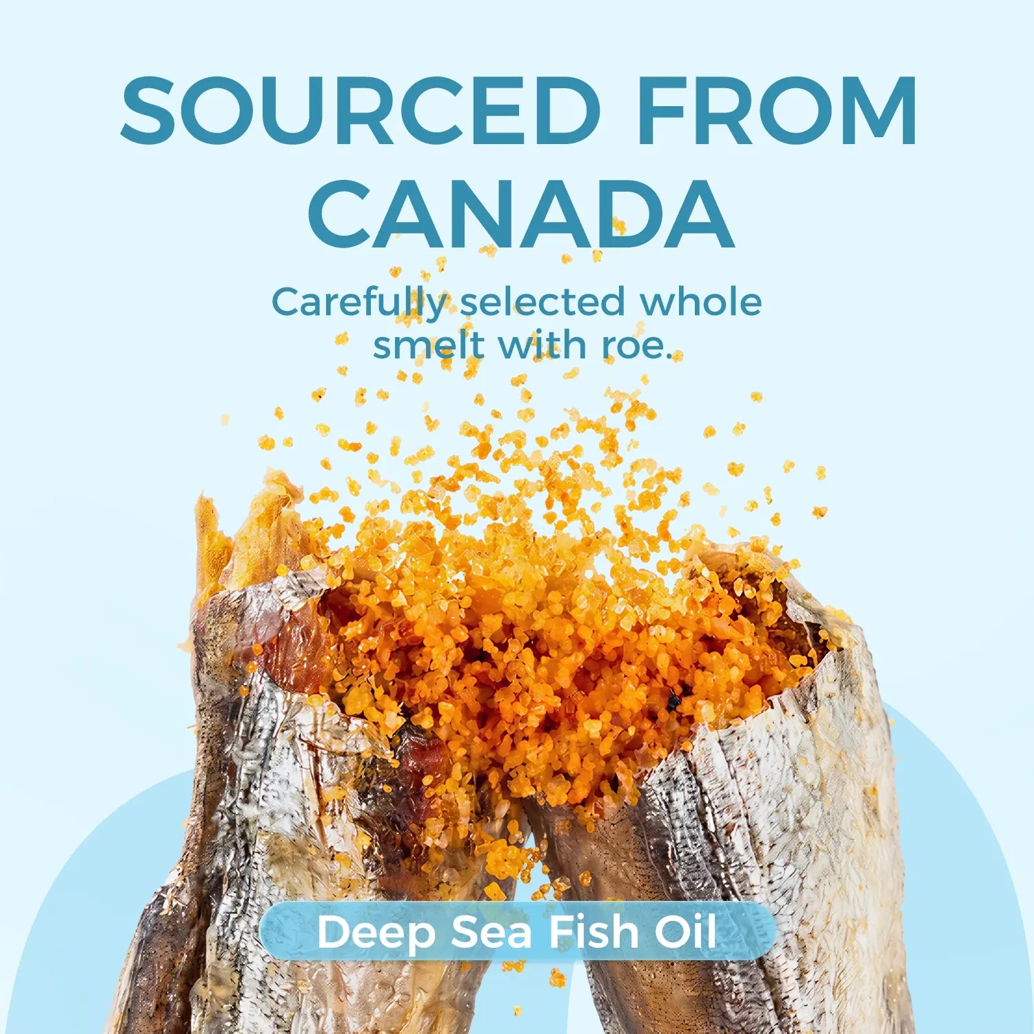 Freeze-Dried Smelt with Full Roe – Single-Ingredient Fish Treats for Cats &amp; Dogs