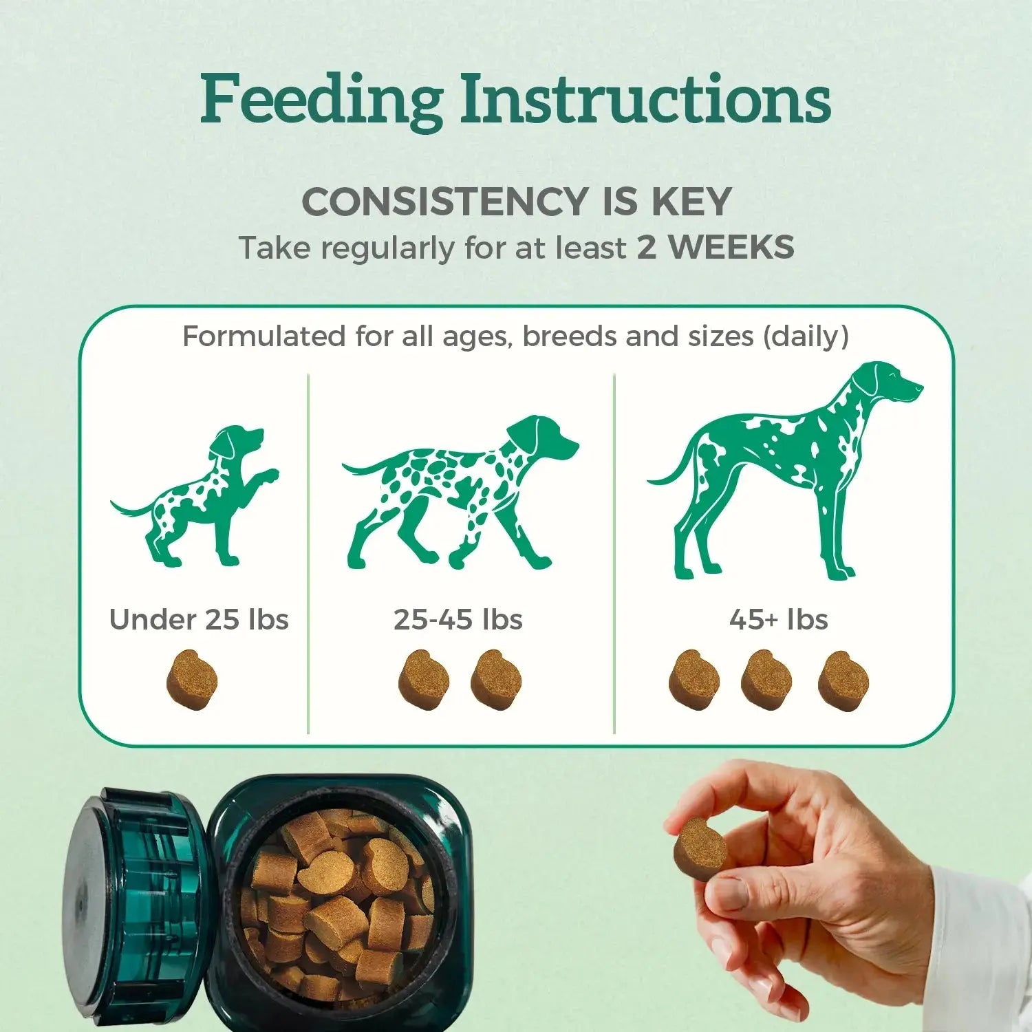 Digestion Support Chews for Dogs Pawbio｜Nutritional supplement kit for your furry friends