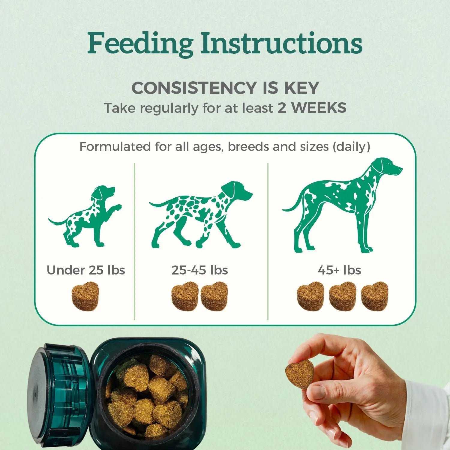 Skin Support Pawbio｜Nutritional supplement kit for your furry friends