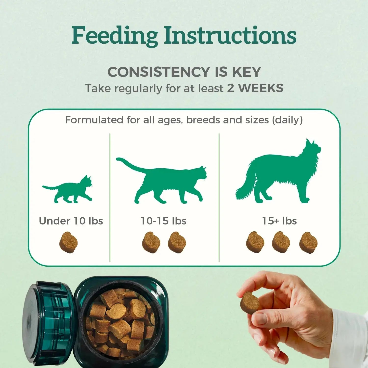 Digestion Support Chews for Cats Pawbio｜Nutritional supplement kit for your furry friends