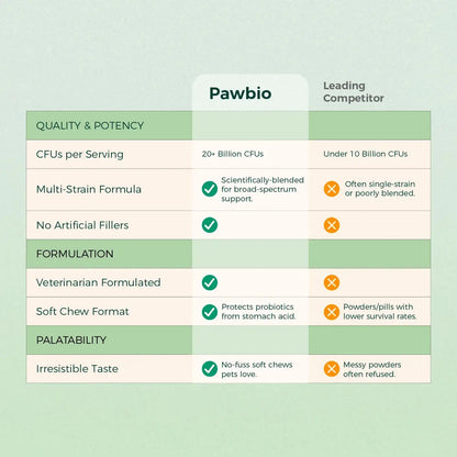 Digestion Support Chews for Cats Pawbio｜Nutritional supplement kit for your furry friends