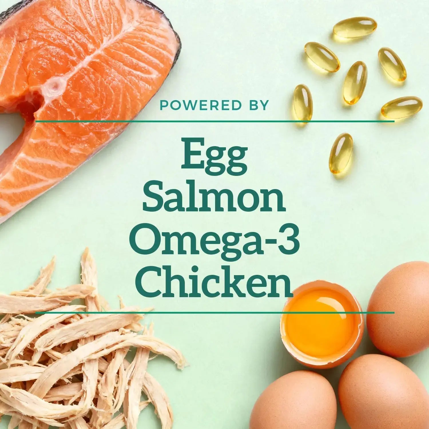 Fish Oil Chews for Cats Pawbio｜Nutritional supplement kit for your furry friends