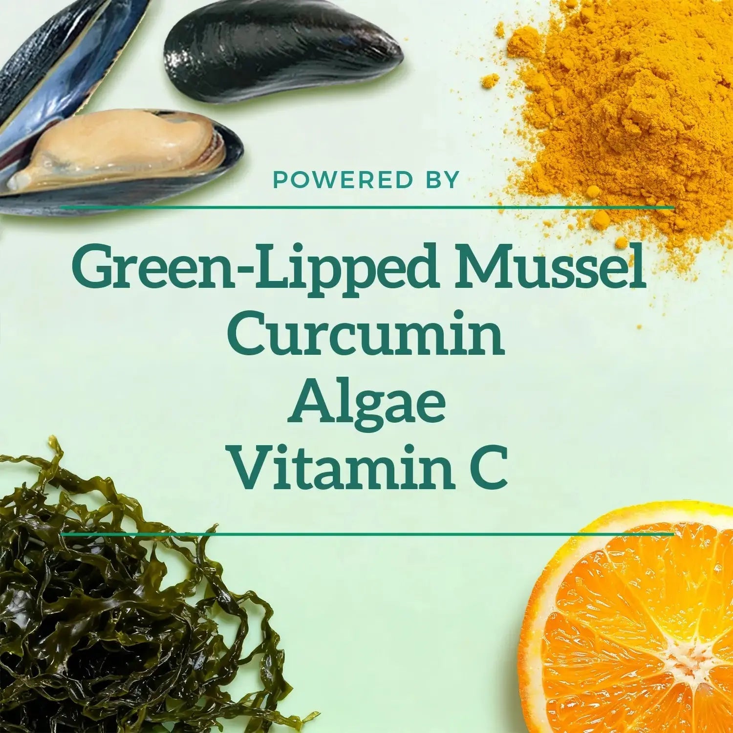 Hip & Joint Chews for Dogs Pawbio｜Nutritional supplement kit for your furry friends