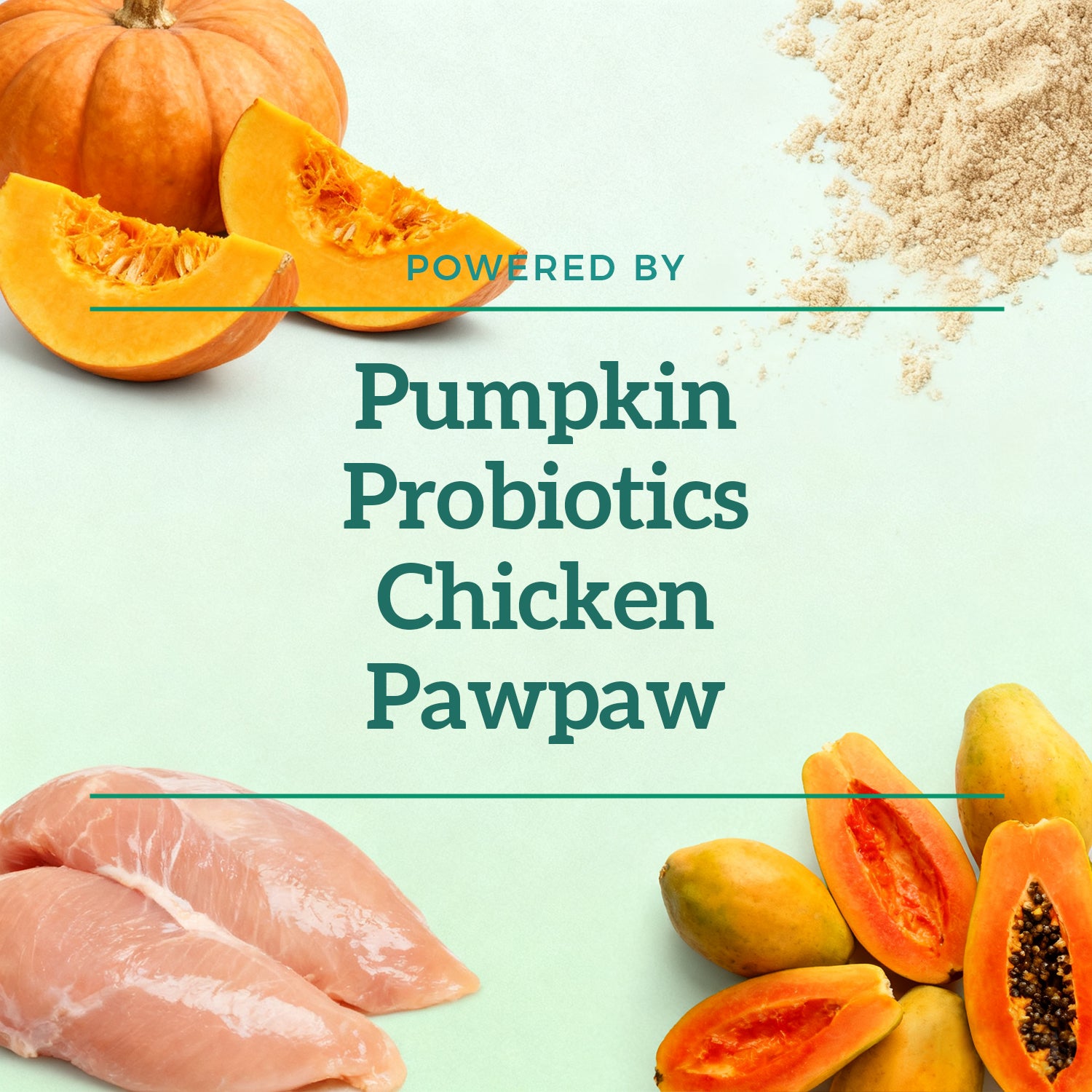Dog's Probiotic Bites