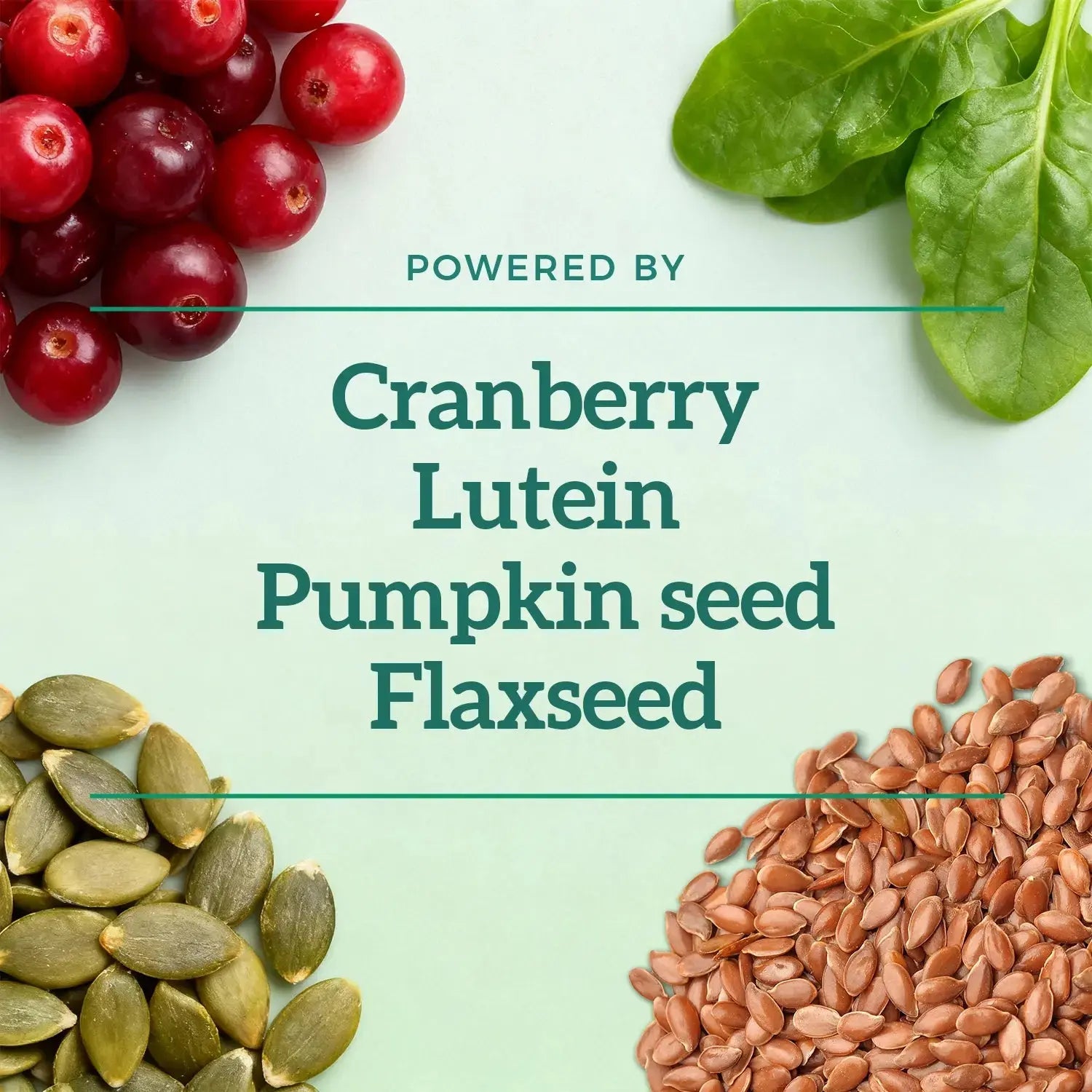 CoQ10 Bites for Cats Pawbio｜Your Pet's Natural Wellness Partner — Bringing Love to Life