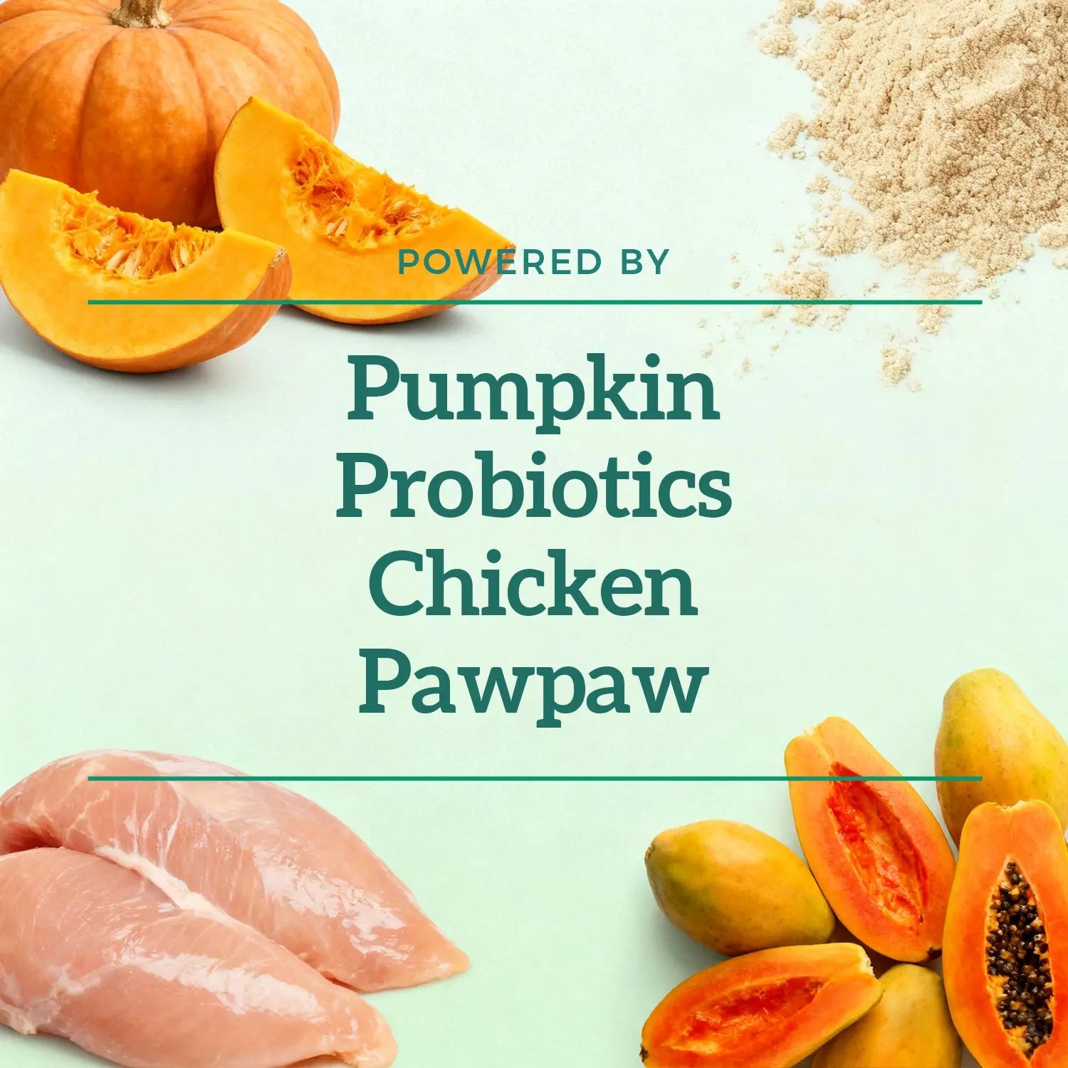 Digestive Health Pawbio｜Nutritional supplement kit for your furry friends