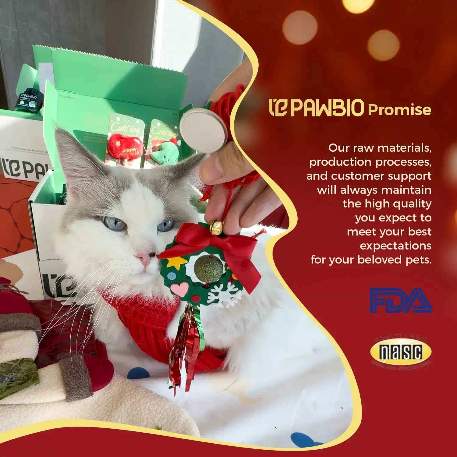 Christmas Gift Box for Cats Pawbio｜Your Pet's Natural Wellness Partner — Bringing Love to Life