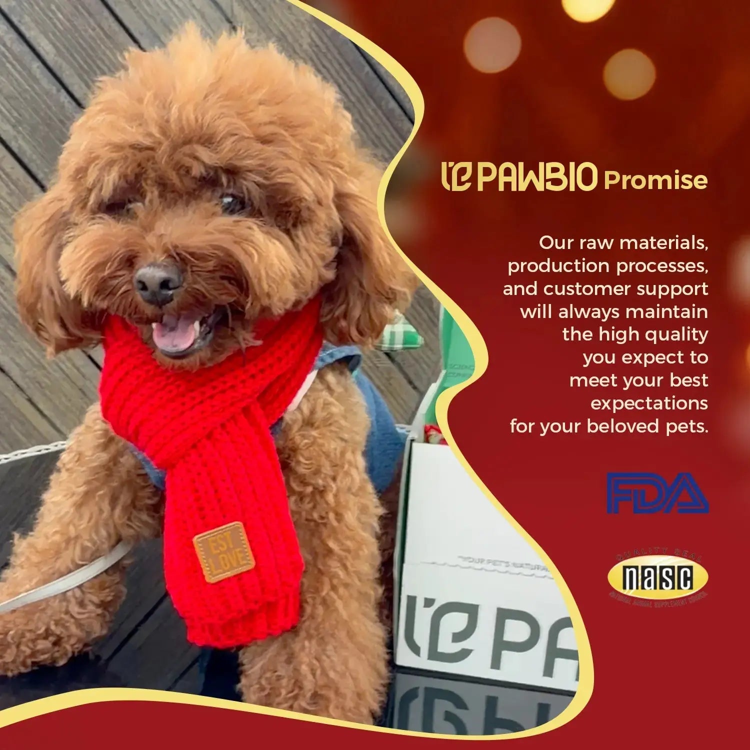 Christmas Gift Box for Dogs Pawbio｜Nutritional supplement kit for your furry friends