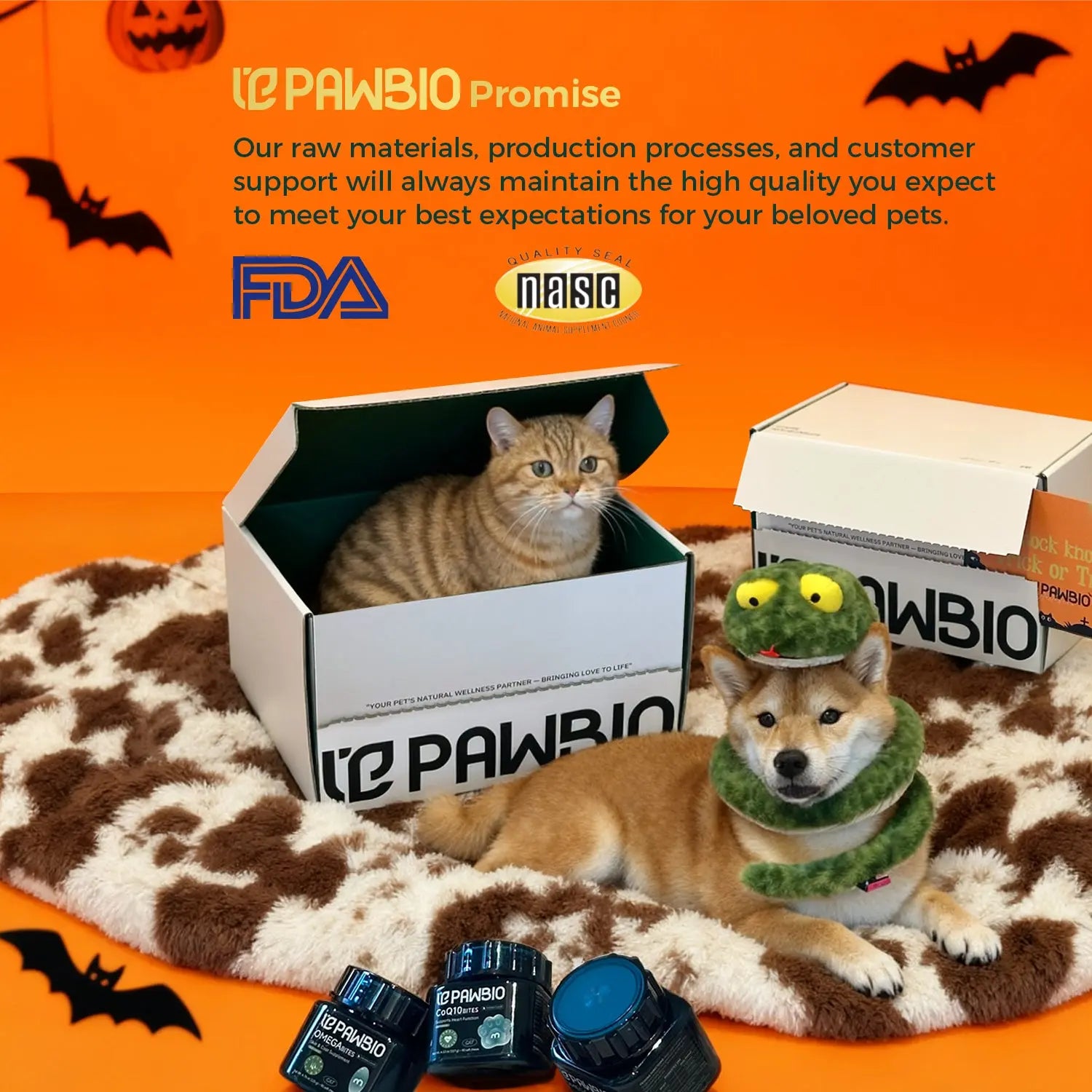 Halloween Gift Box Pawbio｜Nutritional supplement kit for your furry friends
