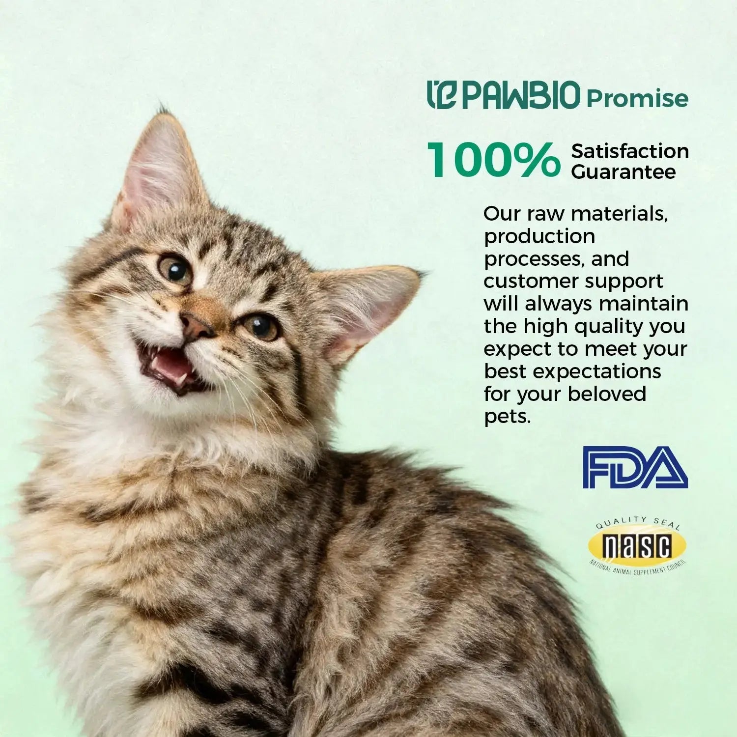 CoQ10 Bites for Cats Pawbio｜Your Pet's Natural Wellness Partner — Bringing Love to Life